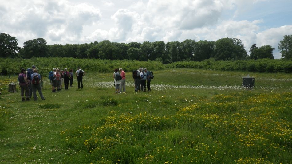 2017-06-03 13 Norwich Group at Acle.jpg