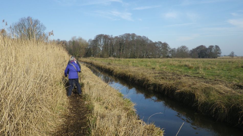 2019-02-17 01 Acle Area.JPG