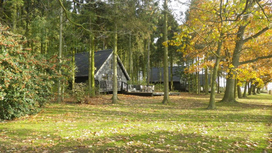 2019-11-03 07 Acle.jpg