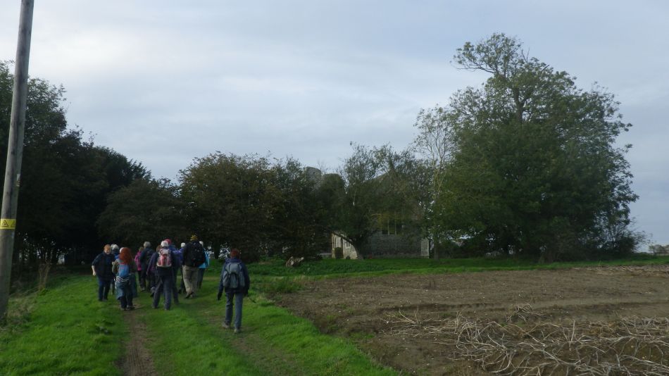 2019-11-03 08 Acle.jpg