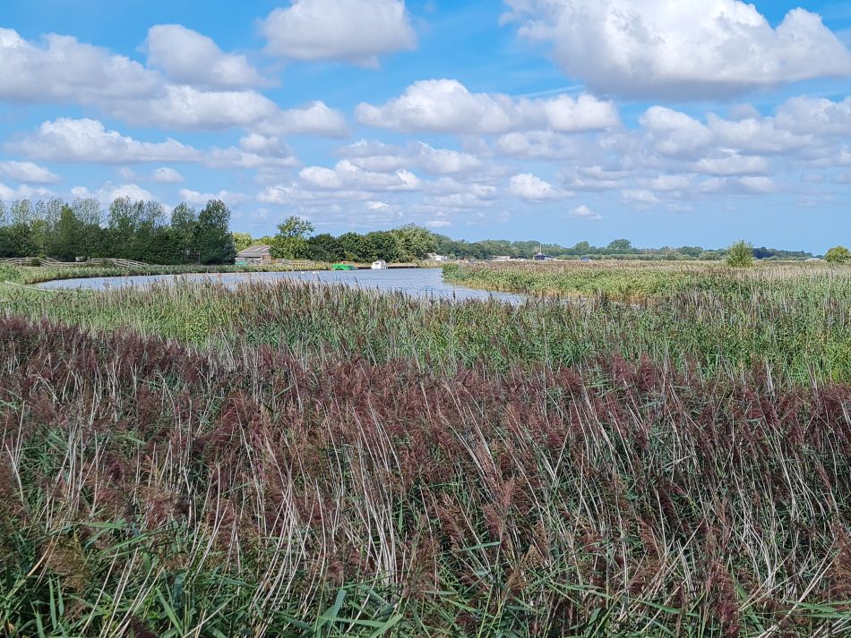 2022-08-28 06 Tunstall and Damgate Marshes.jpg