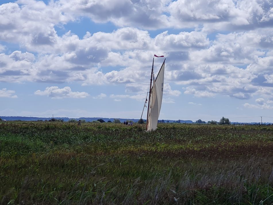 2022-08-28 08 Tunstall and Damgate Marshes.jpg