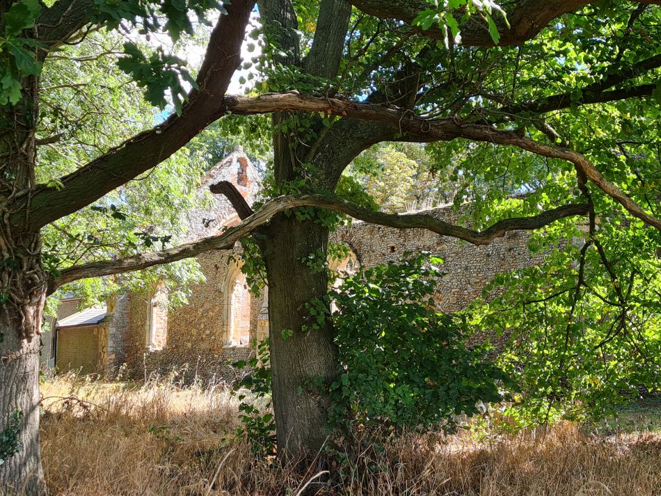 2022-08-28 26 Tunstall and Damgate Marshes.jpg