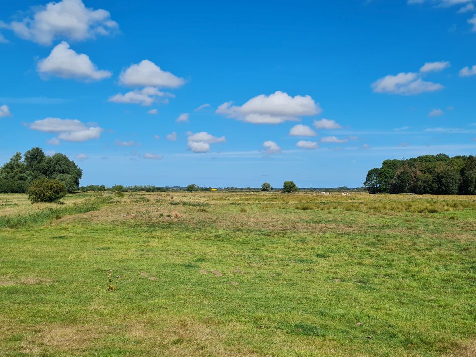 2022-08-28 29 Tunstall and Damgate Marshes.jpg