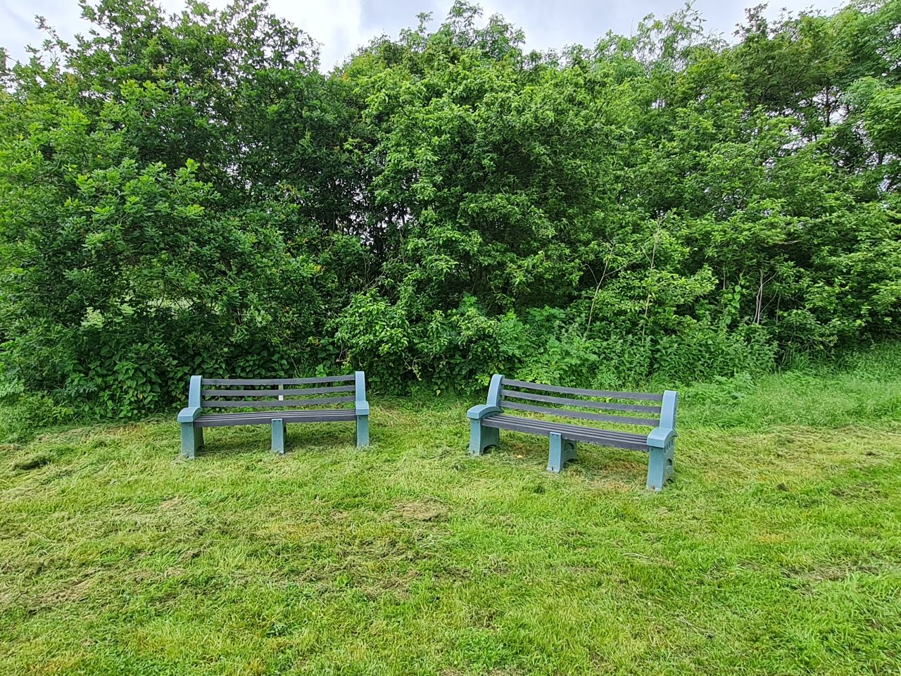 2024-05-30 13 Thurton and Berg Apton.jpg