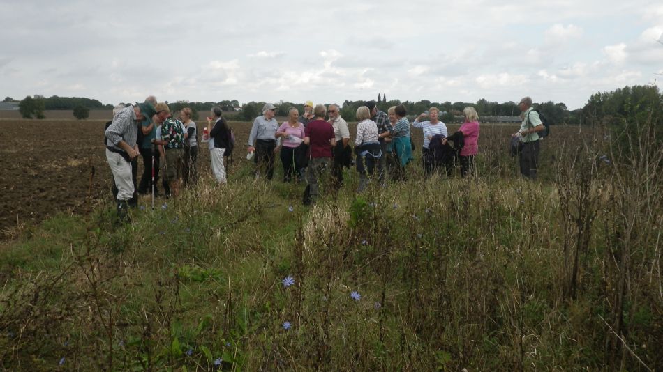 2016-09-21 04 Westhall Area.jpg