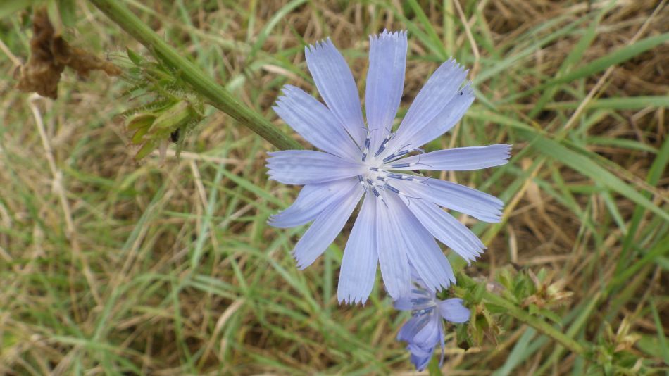 2016-09-21 06 Westhall Area.jpg