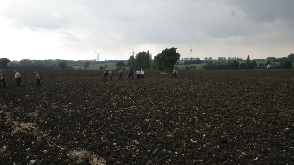 2016-09-21 07 Westhall Area.jpg