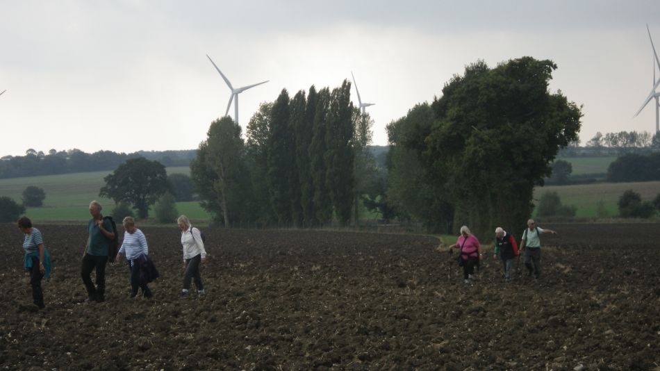 2016-09-21 08 Westhall Area.jpg