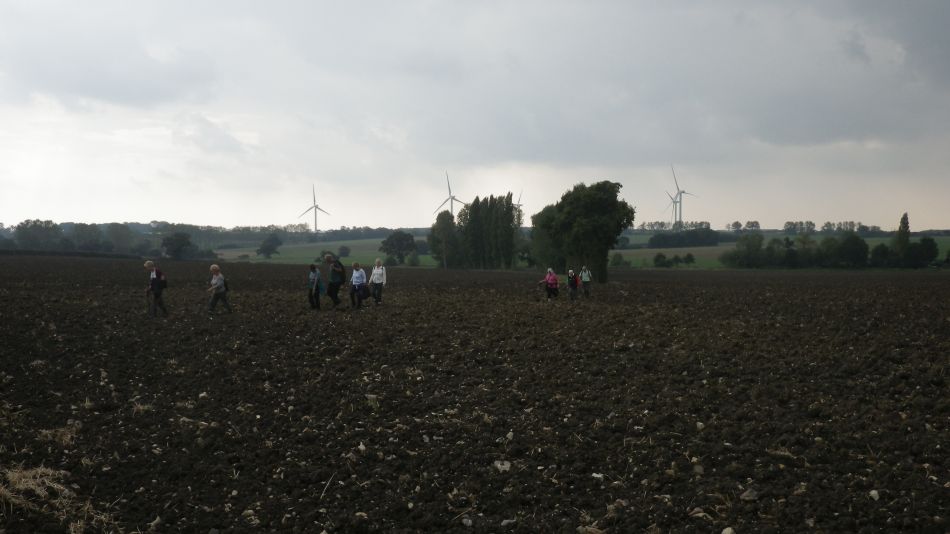 2016-09-21 09 Westhall Area.jpg