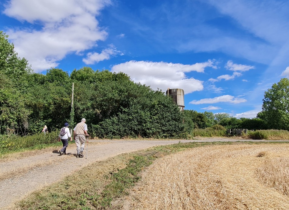 2022-08-03 03 Westhall.jpg