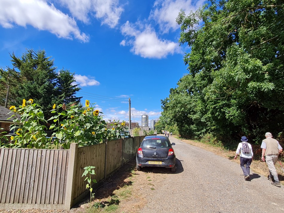 2022-08-03 04 Westhall.jpg