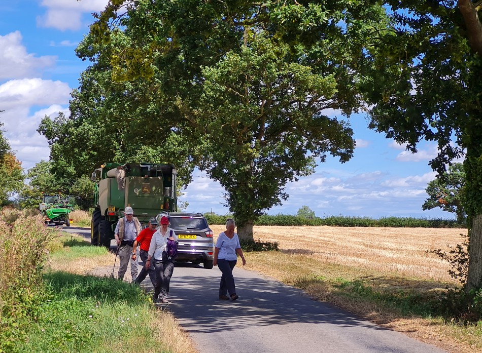 2022-08-03 07 Westhall.jpg