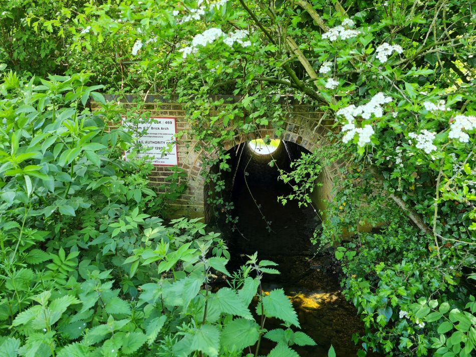 2023-05-24 08 Westhall.jpg