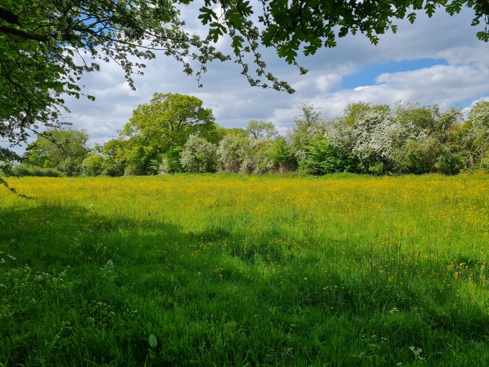 2023-05-24 09 Westhall.jpg