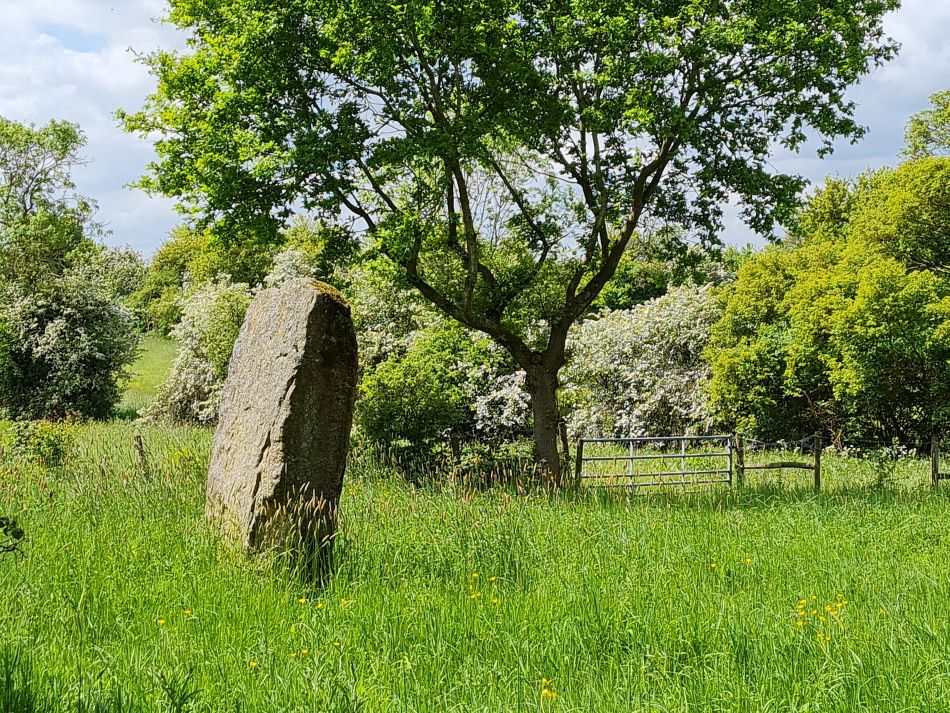 2023-05-24 10 Westhall.jpg