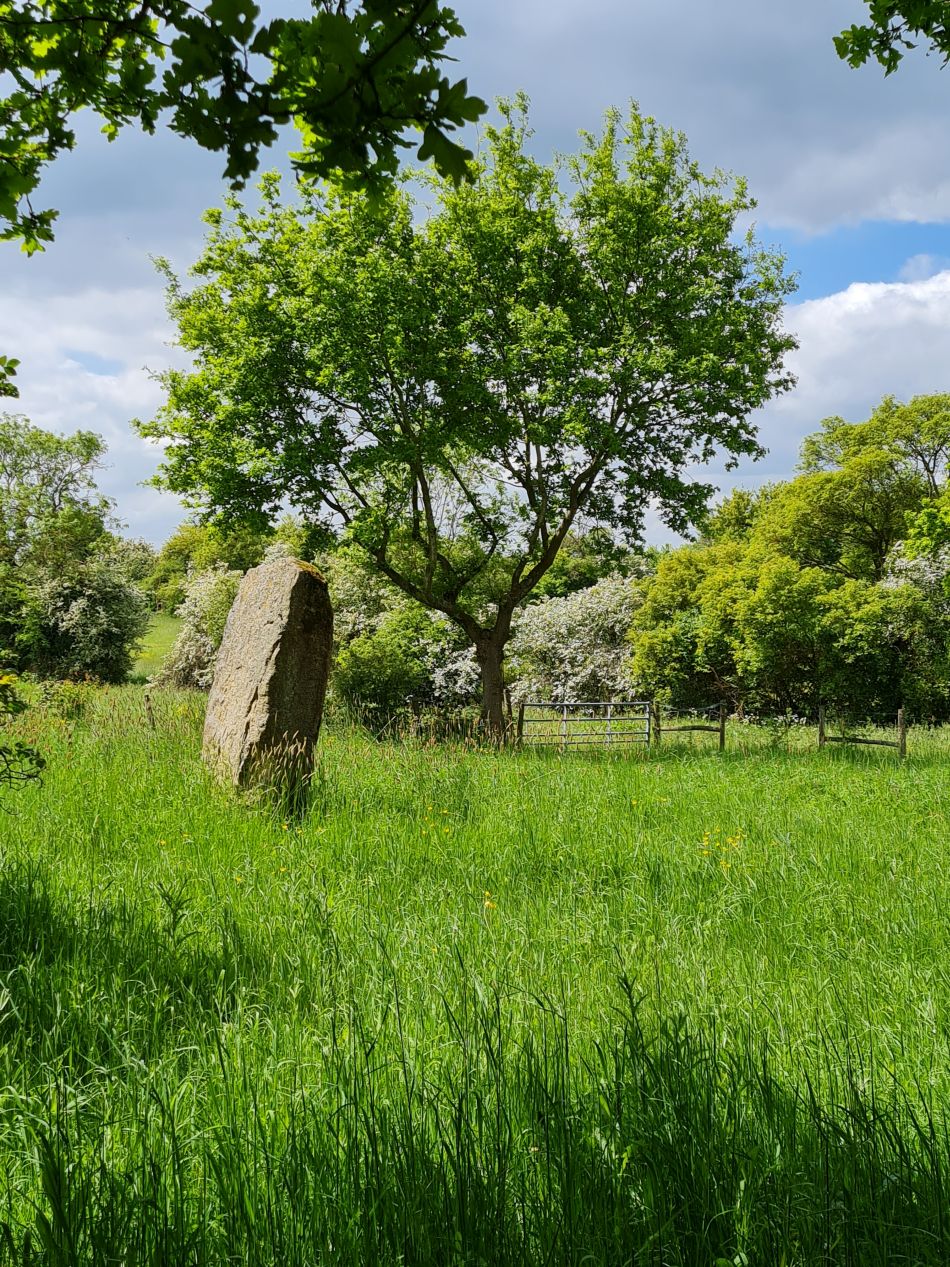 2023-05-24 11 Westhall.jpg