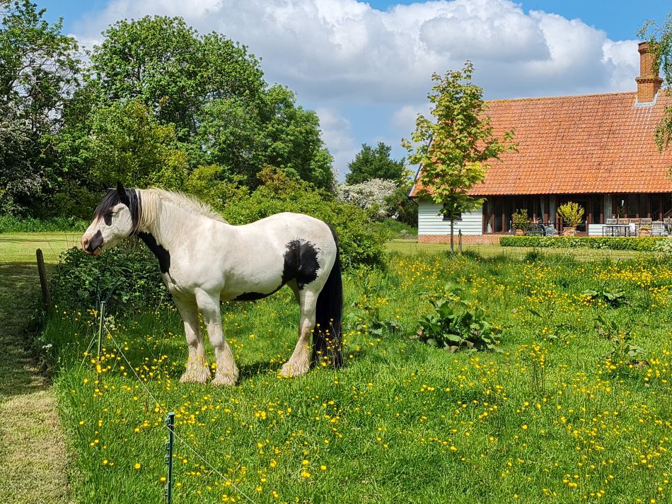 2023-05-24 13 Westhall.jpg