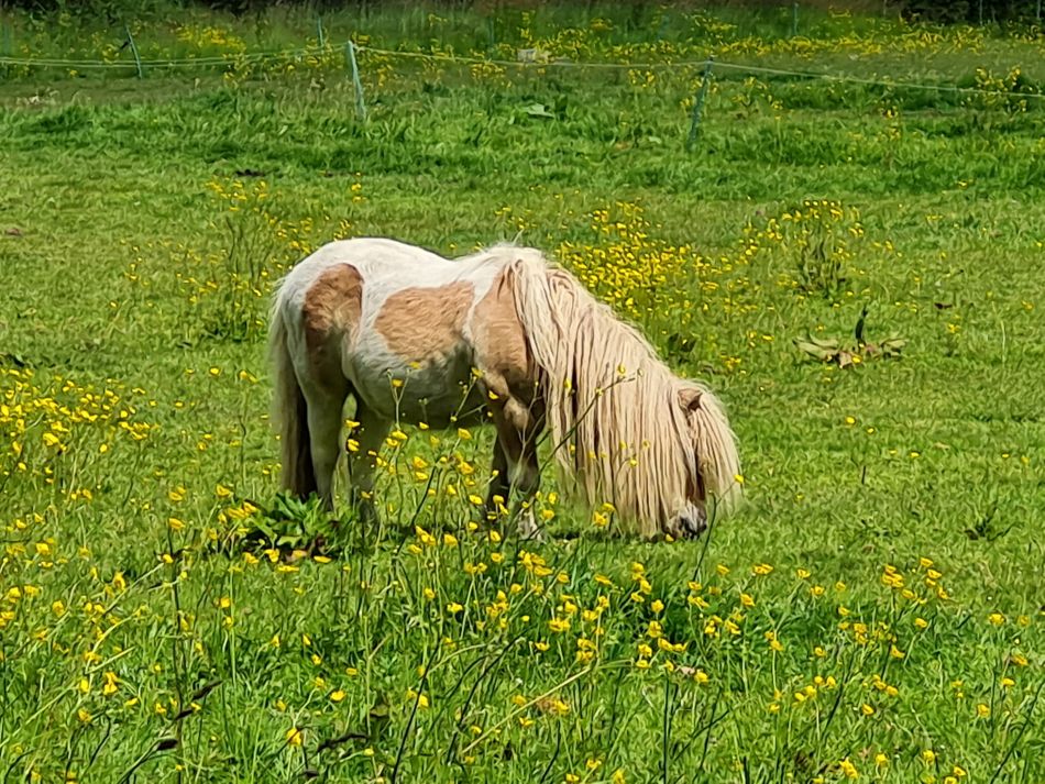 2023-05-24 14 Westhall.jpg