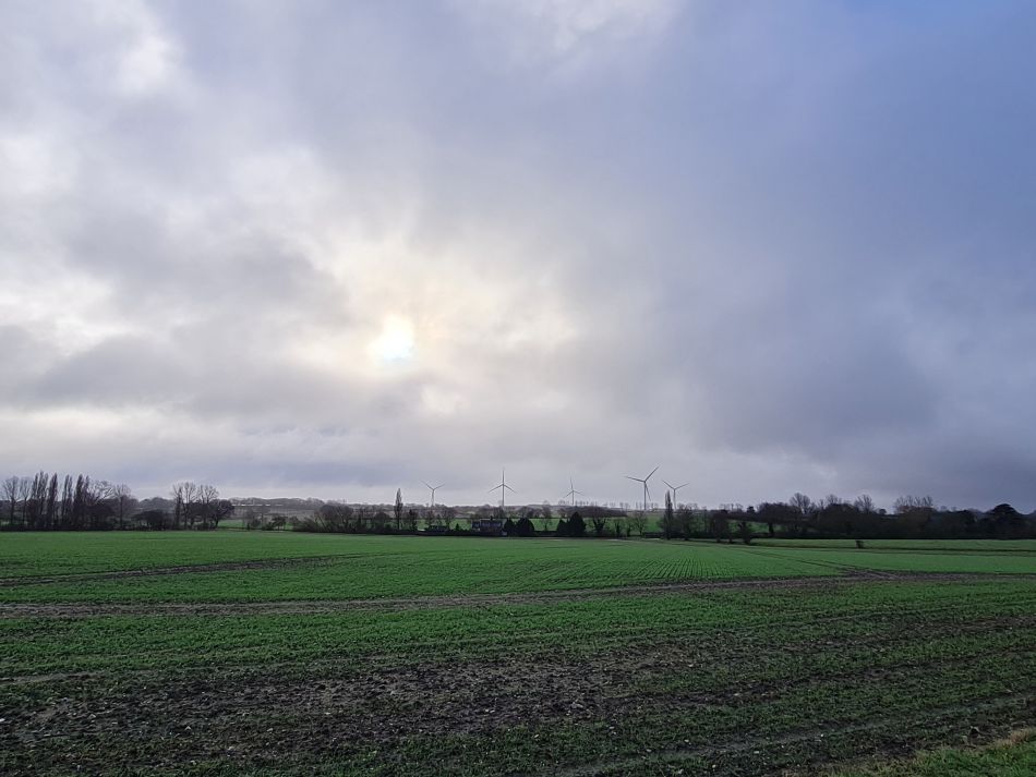 2024-01-12 01 Westhall.jpg