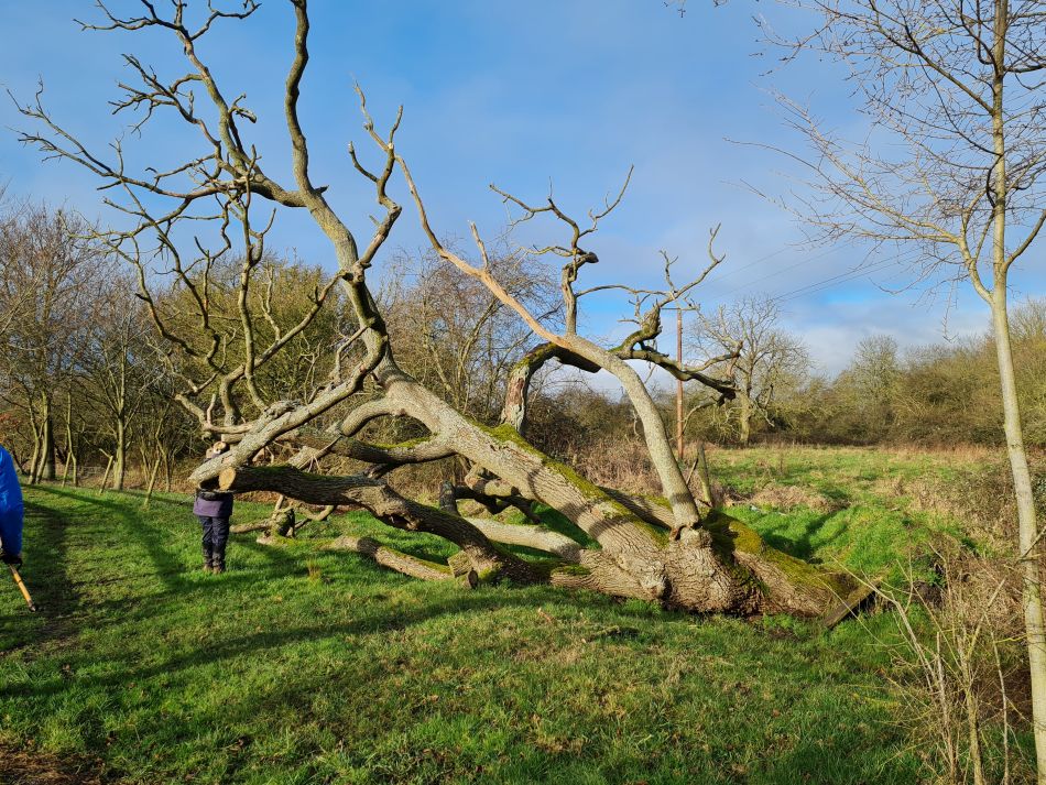 2024-01-12 10 Westhall.jpg