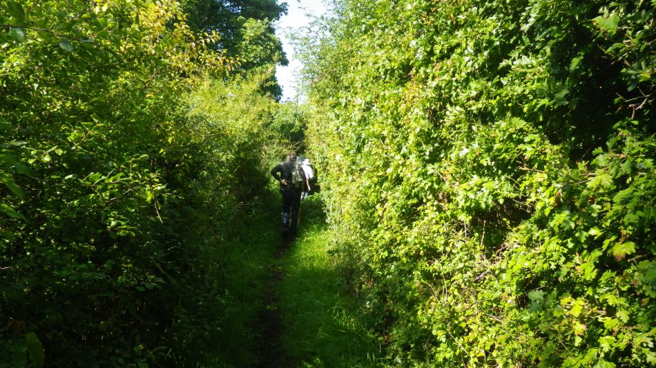 2017-08-31 03 Alde Valley from Sibton White Horse.jpg