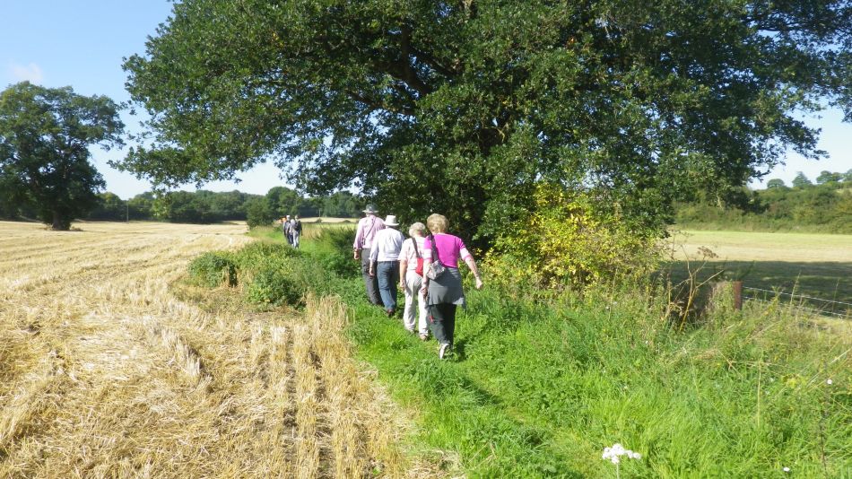 2017-08-31 04 Alde Valley from Sibton White Horse.jpg