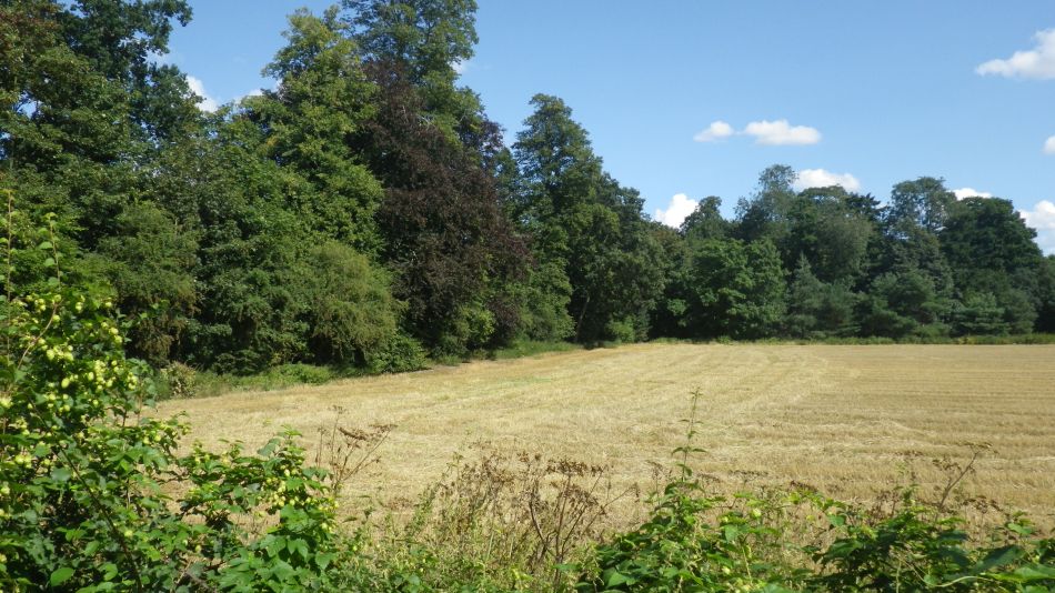2017-08-31 16 Alde Valley from Sibton White Horse.jpg