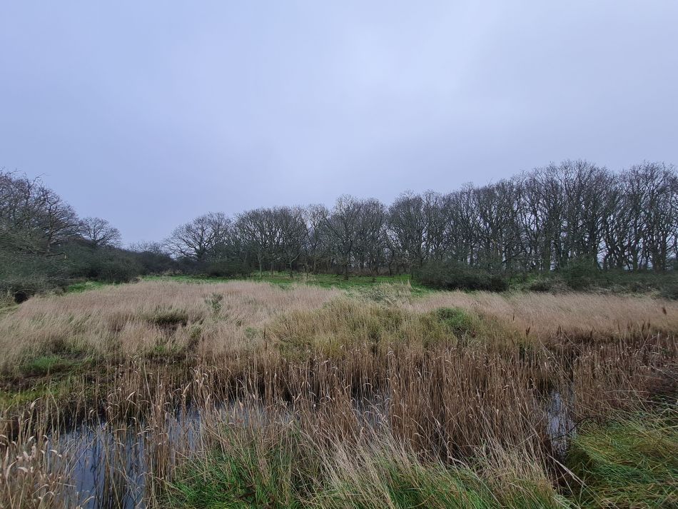 2020-10-08 12 Church Common,jpg.jpg