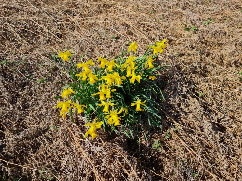 2020-10-09 02 Friston.jpg