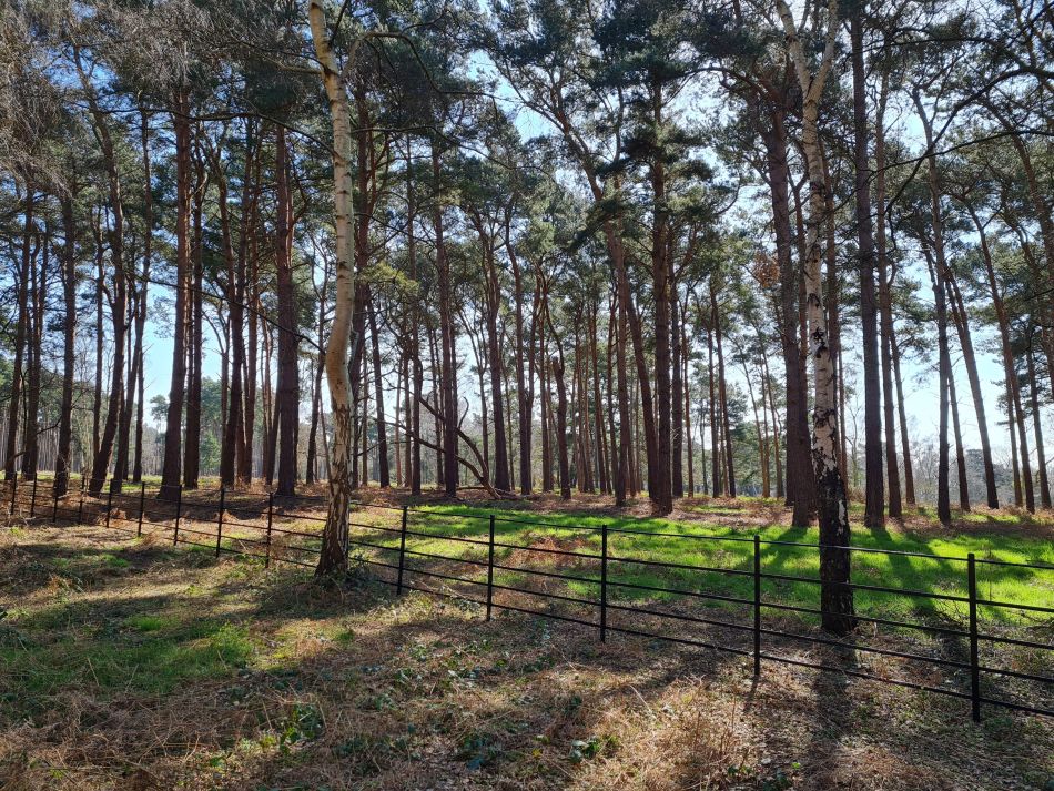 2020-10-09 03 Friston.jpg