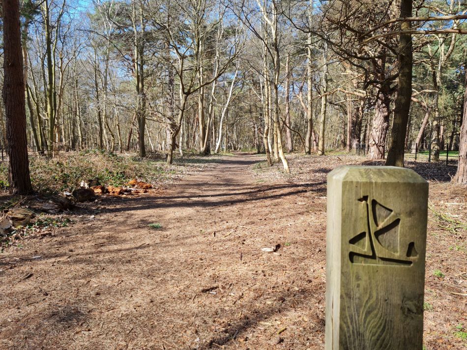 2020-10-09 04 Friston.jpg