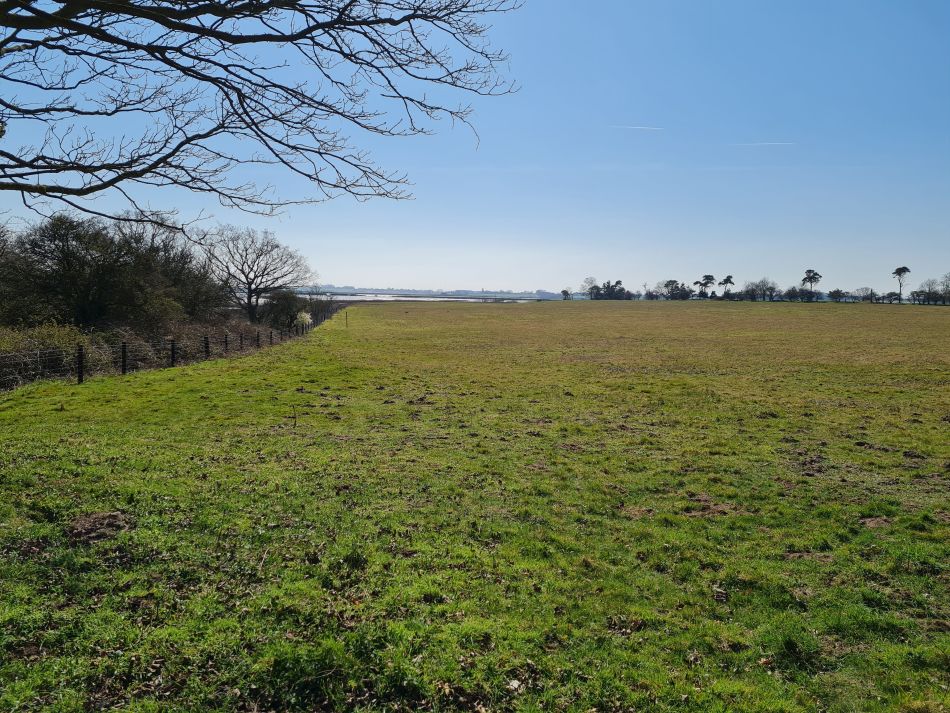 2020-10-09 06 Friston.jpg