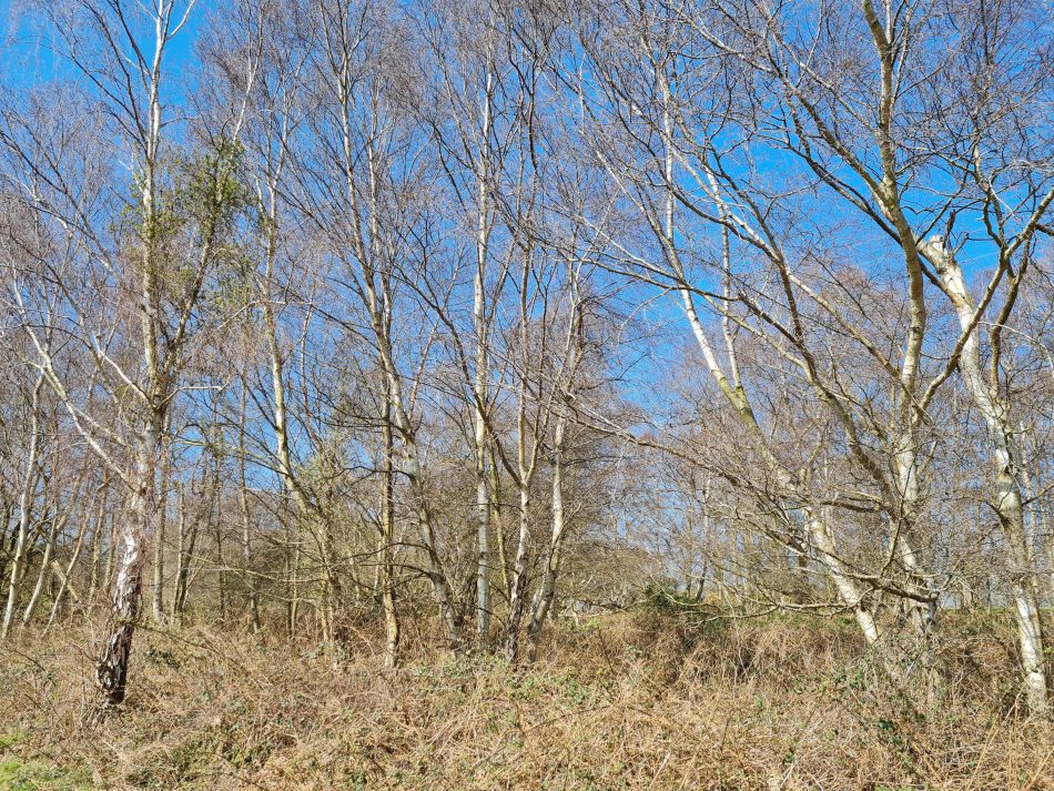 2020-10-09 08 Friston.jpg