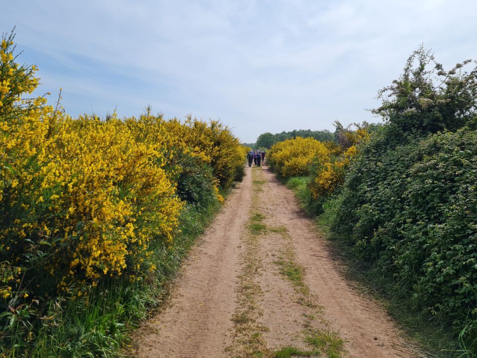 2024-05-12 23 Church Common.jpg