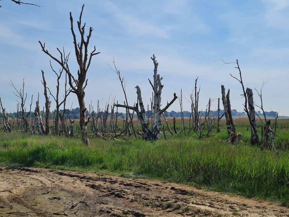 2024-05-12 33 Flood Damage.jpg