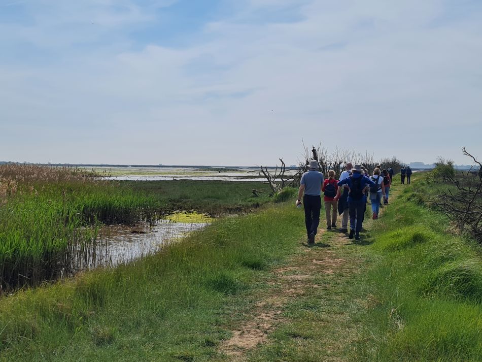 2024-05-12 35 Church Common.jpg