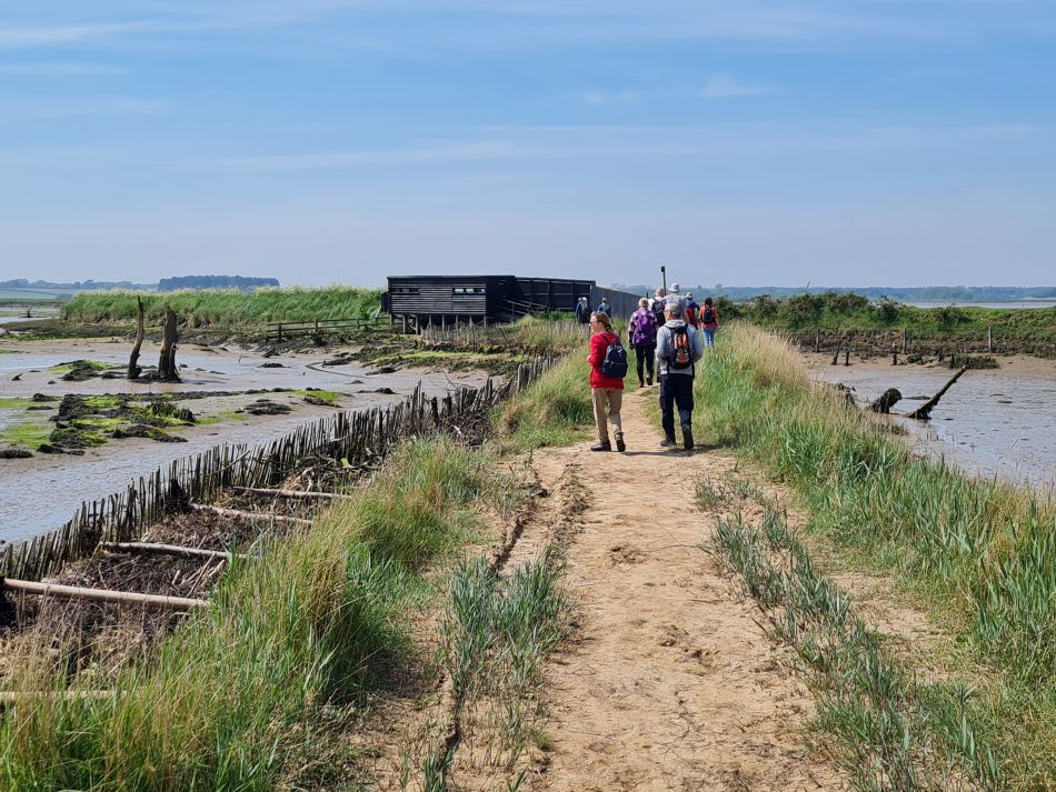 2024-05-12 36 Hosking Hide.jpg