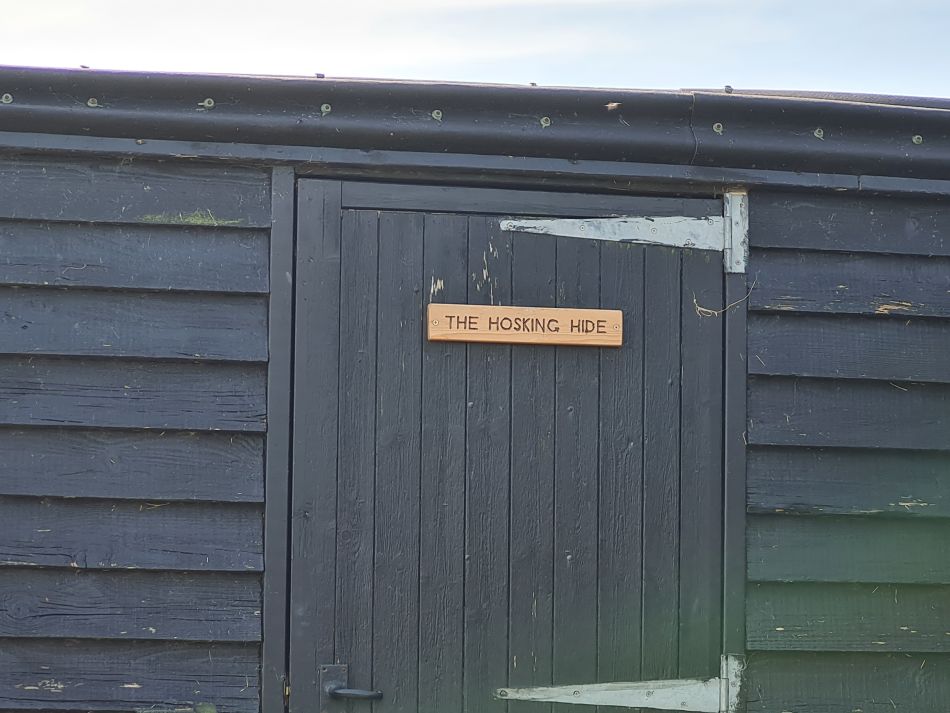 2024-05-12 39 Hosking Hide.jpg