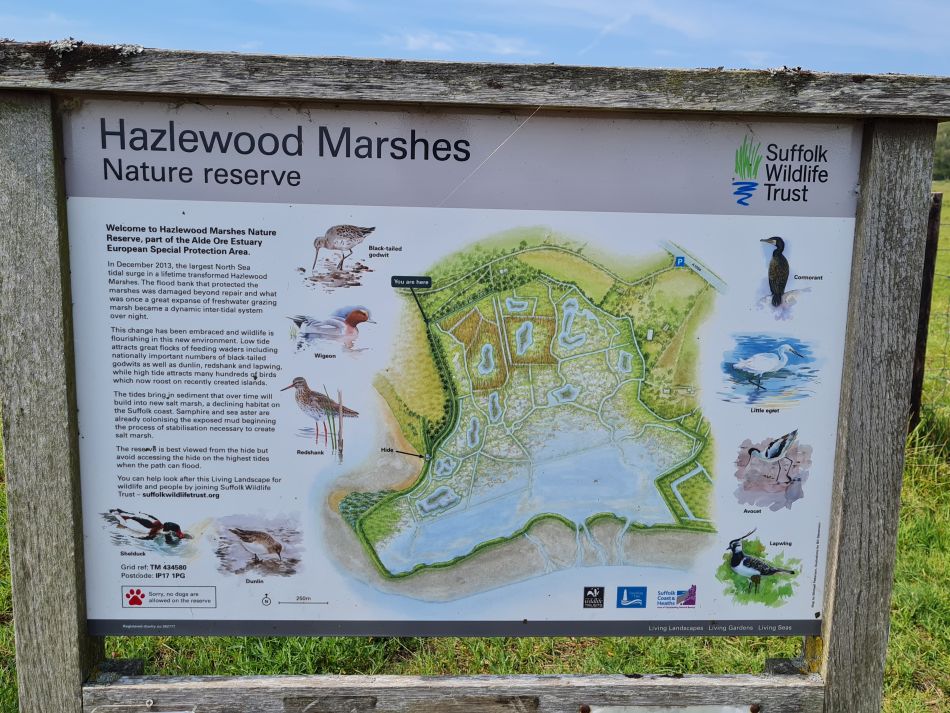 2024-05-12 41 Church Common.jpg