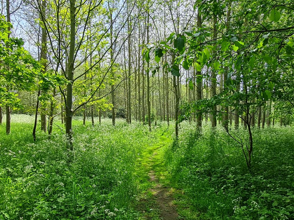 2024-05-12 45 Church Common.jpg