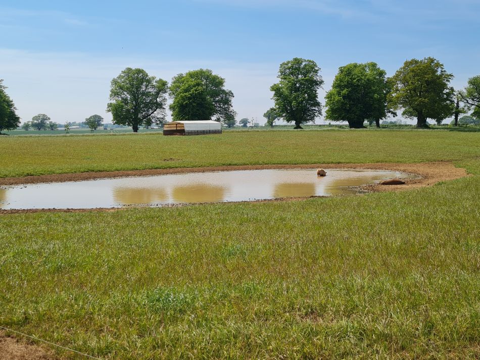 2024-05-12 50 Church Common.jpg