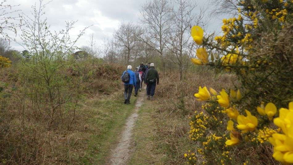 2017-04-12 05 Thorpeness Area.jpg