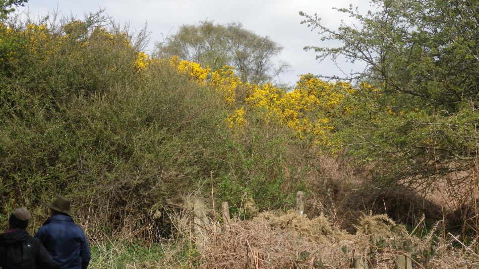 2017-04-12 06 Thorpeness Area.jpg