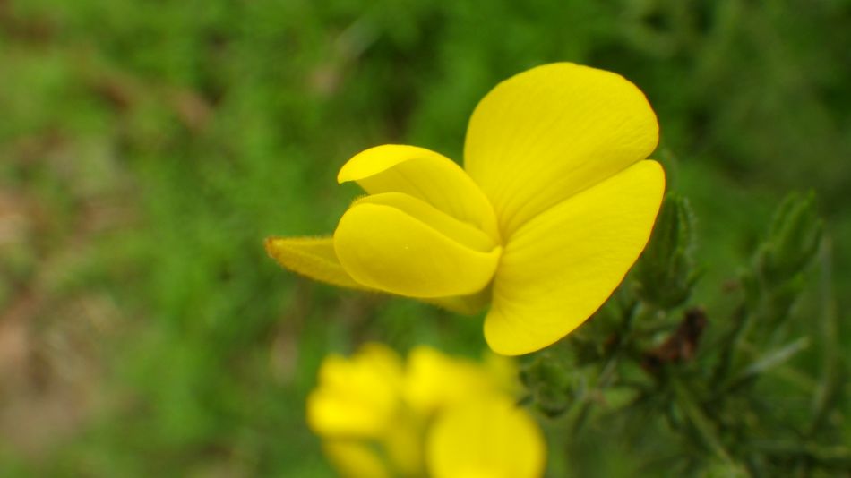 2017-04-12 21 Thorpeness Area.jpg