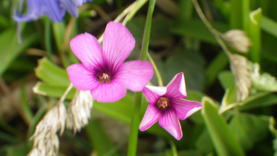 2017-04-12 34 Thorpeness Area.jpg