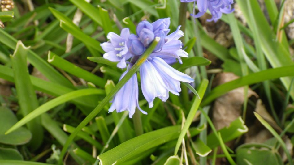 2017-04-12 35 Thorpeness Area.jpg