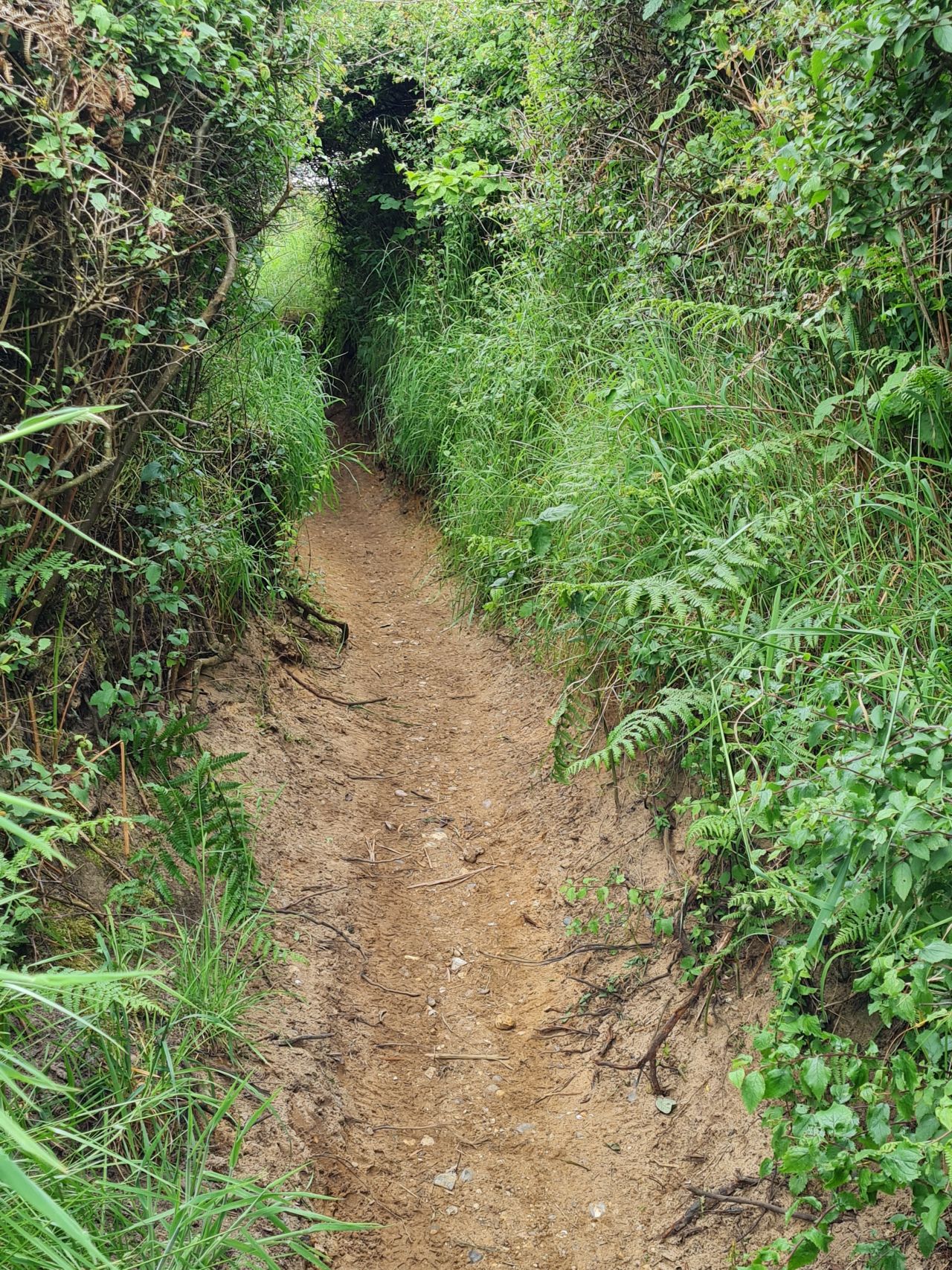 2024-06-02 04 Thorpeness.jpg