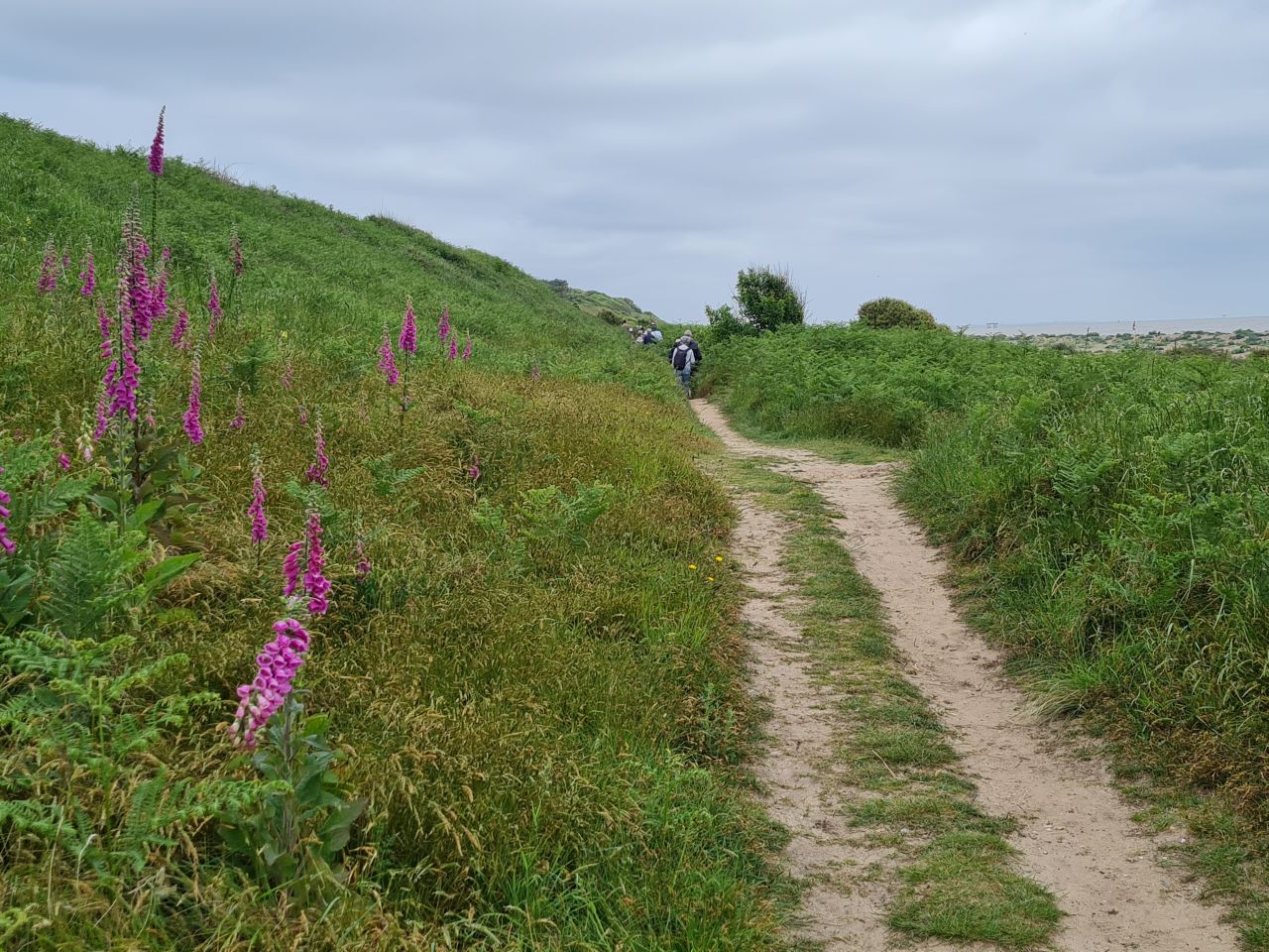 2024-06-02 05 Thorpeness.jpg