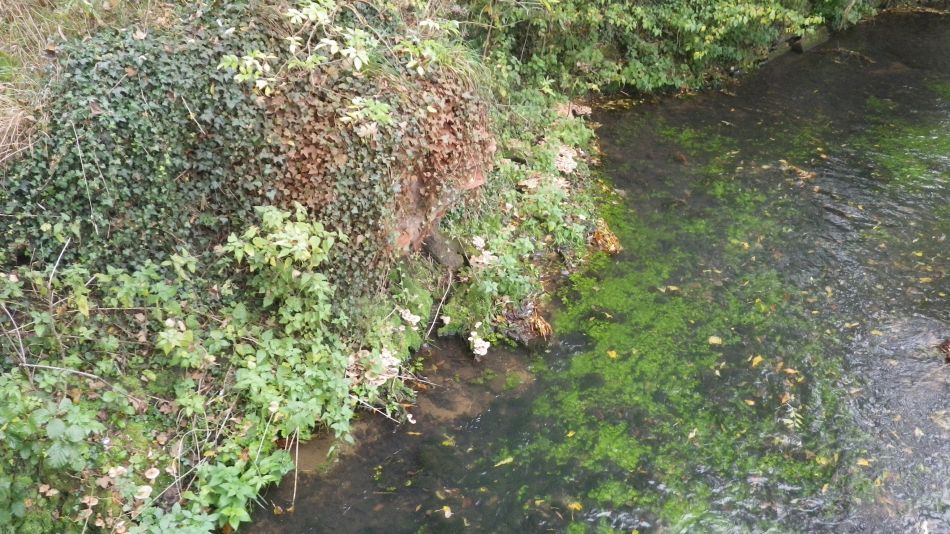 2016-10-30 04 Harleston and Weybread.jpg